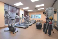 Hilton Garden Inn Rockford - Gym