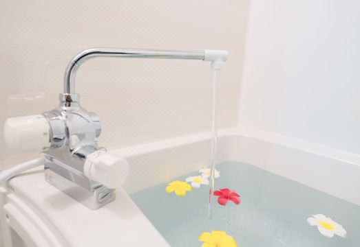 3. 에코트 이라부 ..