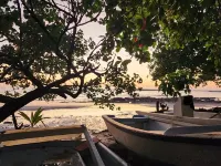 Casa Naranja Jungle Villa - Villas
