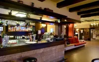 Hotel Gradina Morii - bar