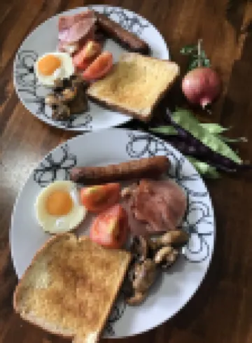 Xyl Pets Friendly Seaside Boutique Guesthouse