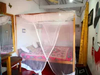 Star Rest Arugambay - Servicios de Traslado