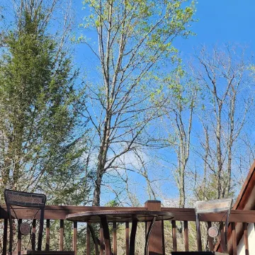 Lily Creek Lodge