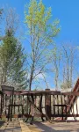 Lily Creek Lodge Hotels in Dahlonega