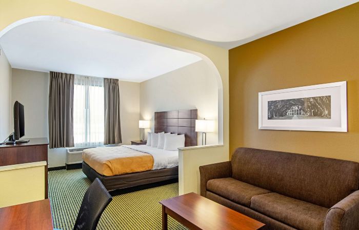 Quality Inn & Suites Near Tanger Outlet Mall