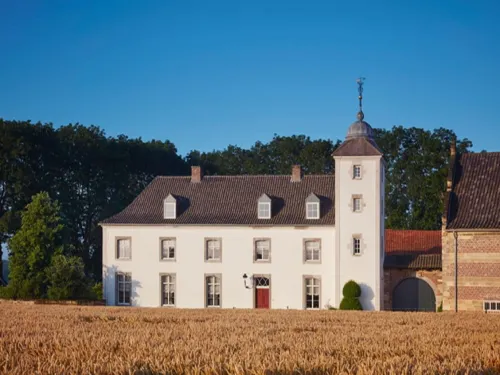 Stately 16-Person Manor Farm in South Limburg - homestay