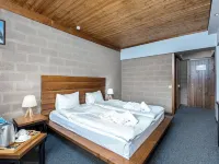 Alpine Lounge Boutique Hotel Hotels in Stepantsminda