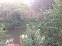 Canalside Villa & Guest House Hotels in Nawalapitiya