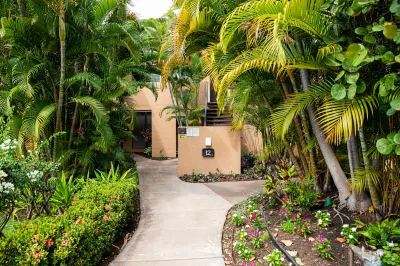 Cozy Retreat with Full Kitchen and Pool Access - Gorgeous Ocean View Studio Hotels near Wailea Beach