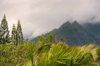 Hihimanu House