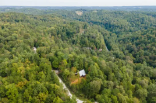Pet-Friendly & Great Location - Tiny Cabin - Pine Point - Red River Gorge, Kentucky!