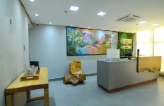 布里薩斯風格公寓