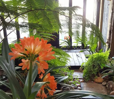 Hornbill House Self Catering Accommodation Hotel di Vermont