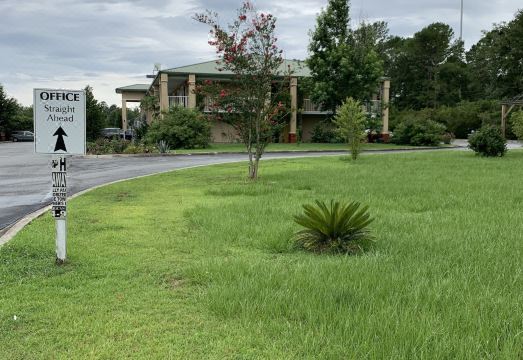 2. 이코노 로지 몬..