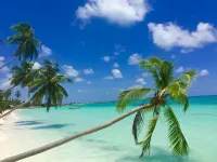 Nazaki Luxury Beach Hotel - Beach