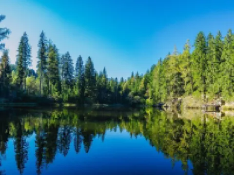 mg4 Apartments Hotels in Murau