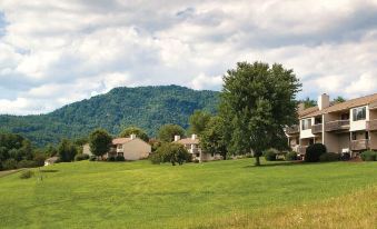 Mountain Loft Resort