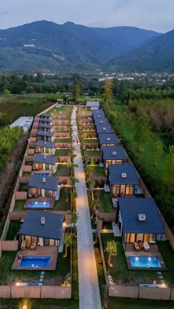 Vital Gol Отели в г. Сапанджа