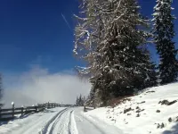 Hotel Tauernstern Hotels in Lienz