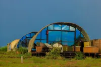 Amanya 2-Rooms Lioness Family