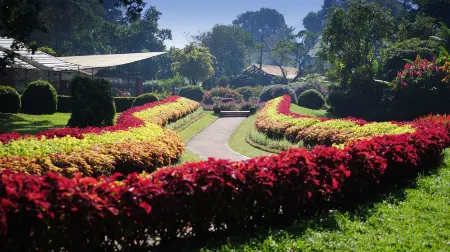 Niru Residence Отели в г. Gonoruwa