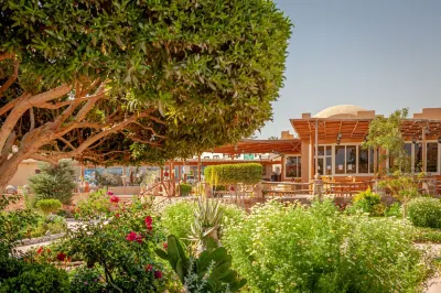 Silver Beach Boutique Hotel Hotels in El Qoseir