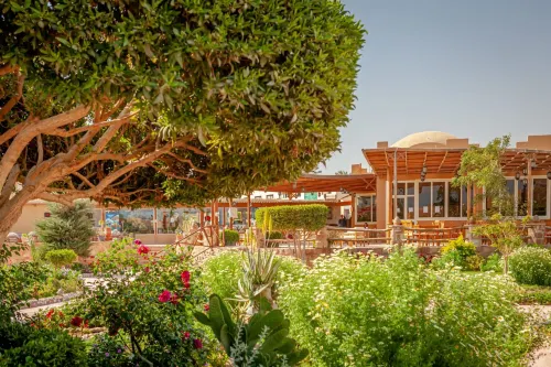 Silver Beach Boutique Hotel Hôtels à : Qesm Al Qoseir