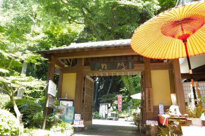 ホテル周辺 箱根湯本温泉 天成園の写真