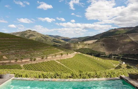 金塔新星酒莊 - 羅萊夏朵酒店