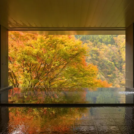 Hotel Iya Onsen