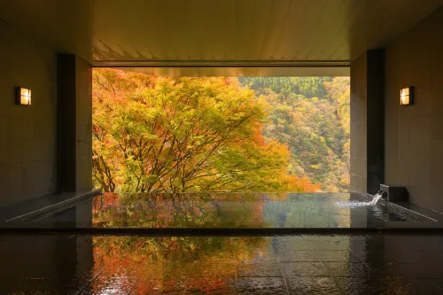 Hotel Iya Onsen - Mountain view