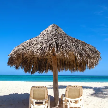 Flor Del Mar Condo