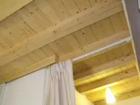 Domoikos