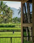 Les Rizieres Lombok - Mountain view