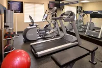 Hampton Inn Fort Stockton - Træningscentre