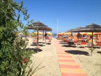 Hotel la Conchiglia - de playa