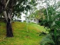 Les Aigrettes Hotels in Reunion