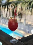 塔希提酒店 - 酒吧