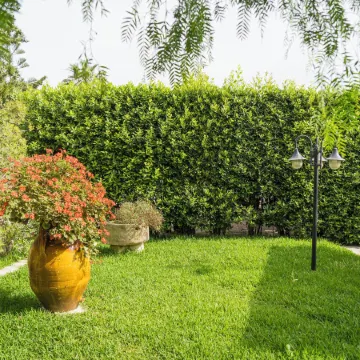 Agriturismo Scalelle