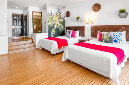 ミア リーフ イスラ ムヘレス - オール インクルーシブ