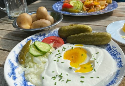 4. 페리엔호프 암 ..