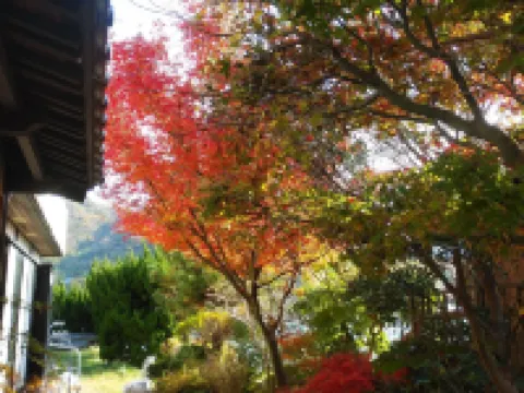 Guest House Darumaya - Hostel Hotel a Distretto di Oki