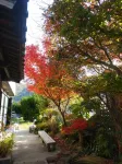 Guest House Darumaya - Hostel