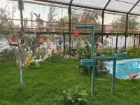 Parcela Los Nonos Hotels in Vicuna