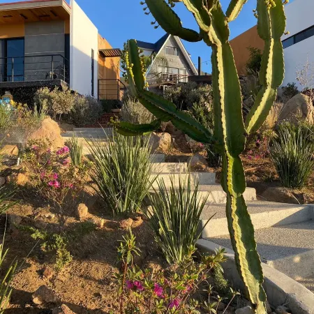 Temexkal Resort
