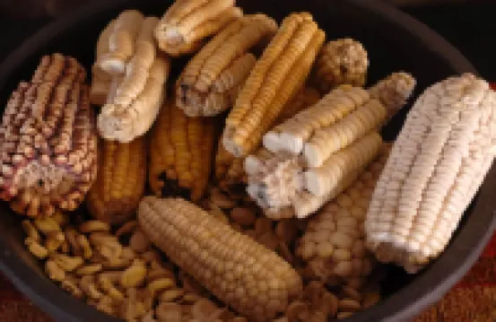 Hotel Iruya Отели в г. 