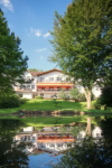 Hotel Luisen Mühle