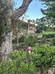 Hotel las palmas By Gestores