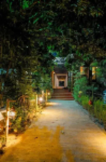 The Jungle Woods Resort