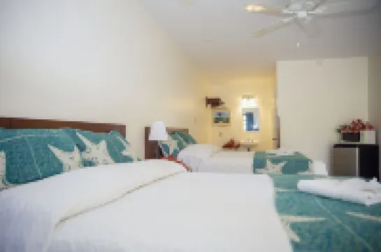 Orange Hill Beach Inn